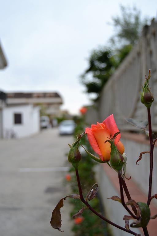 Il Girasole Formia Guesthouse Rooms Exterior foto