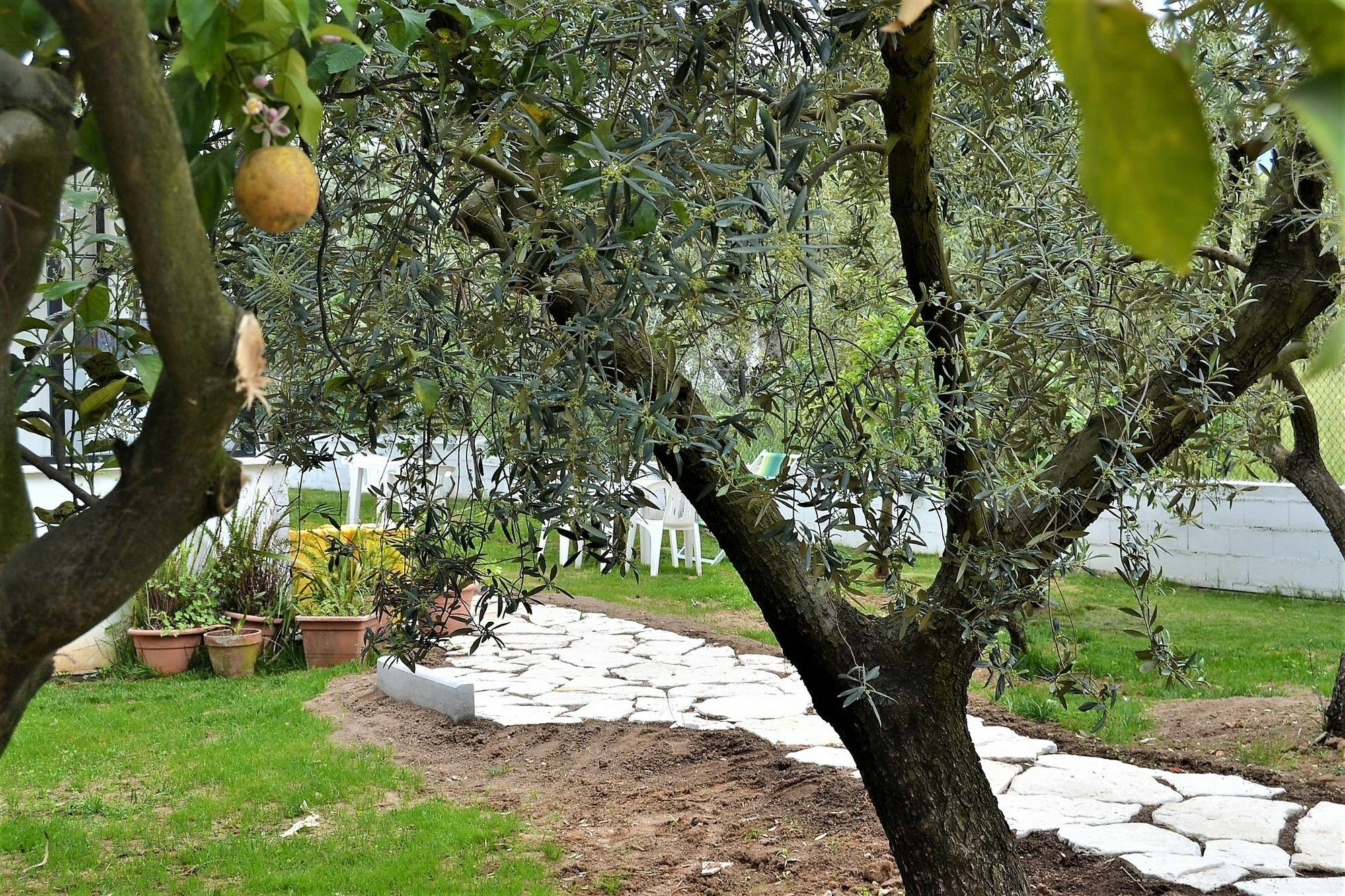Il Girasole Formia Guesthouse Rooms Exterior foto